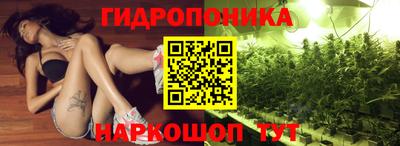 стаф Кунгур