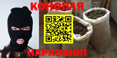 стаф Кунгур