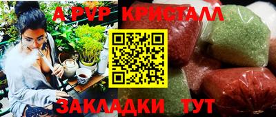 стаф Кунгур